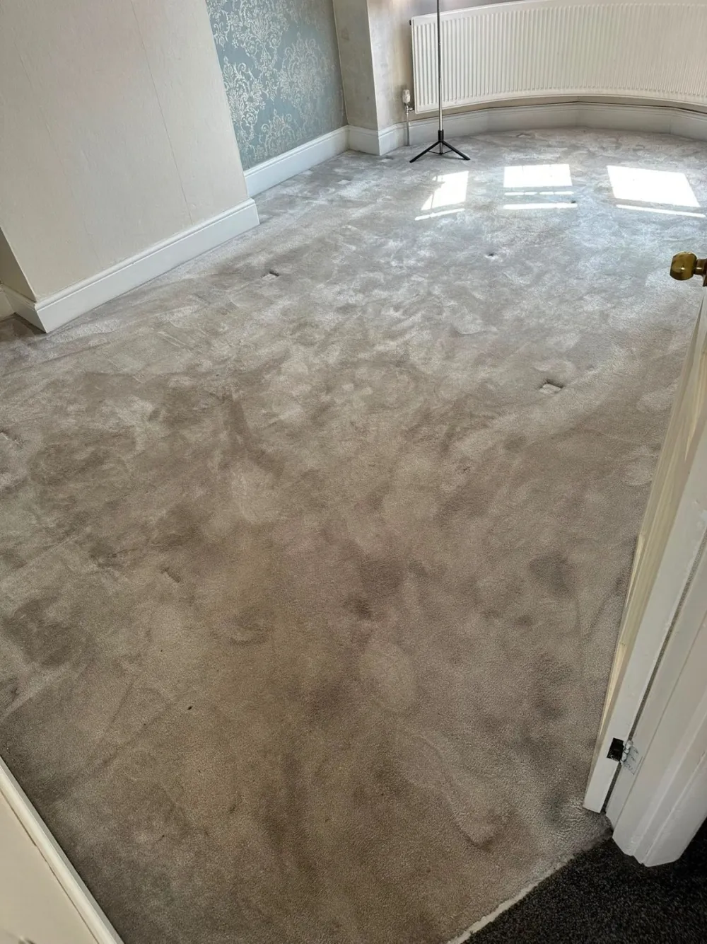 Bedroom carpet before cleaning, heavily soiled with grey traffic marks