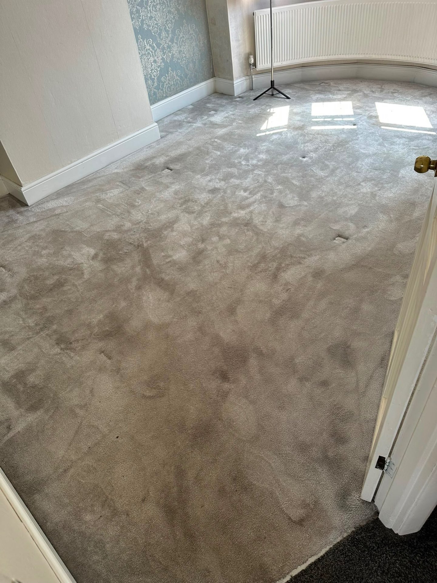 Bedroom carpet restored — before