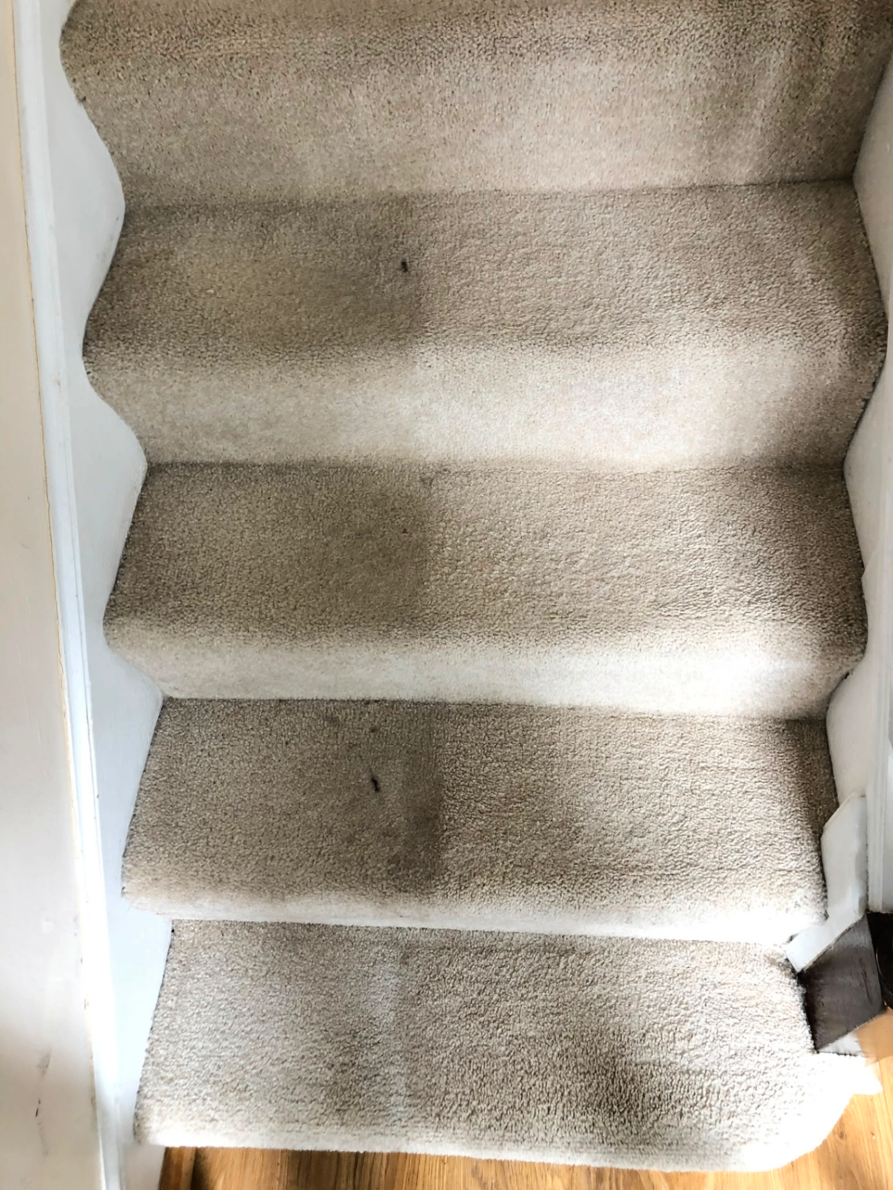 Carpeted stairs clean