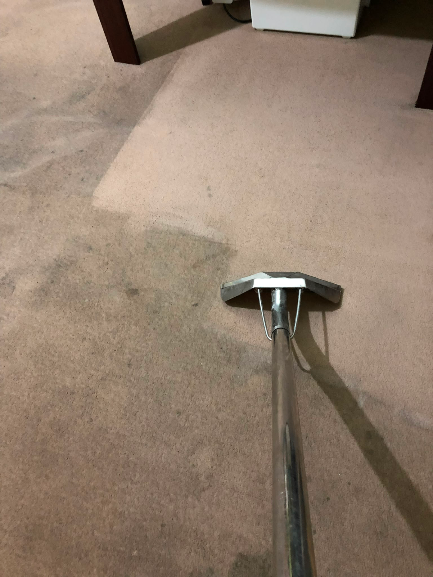 Carpet mid-clean