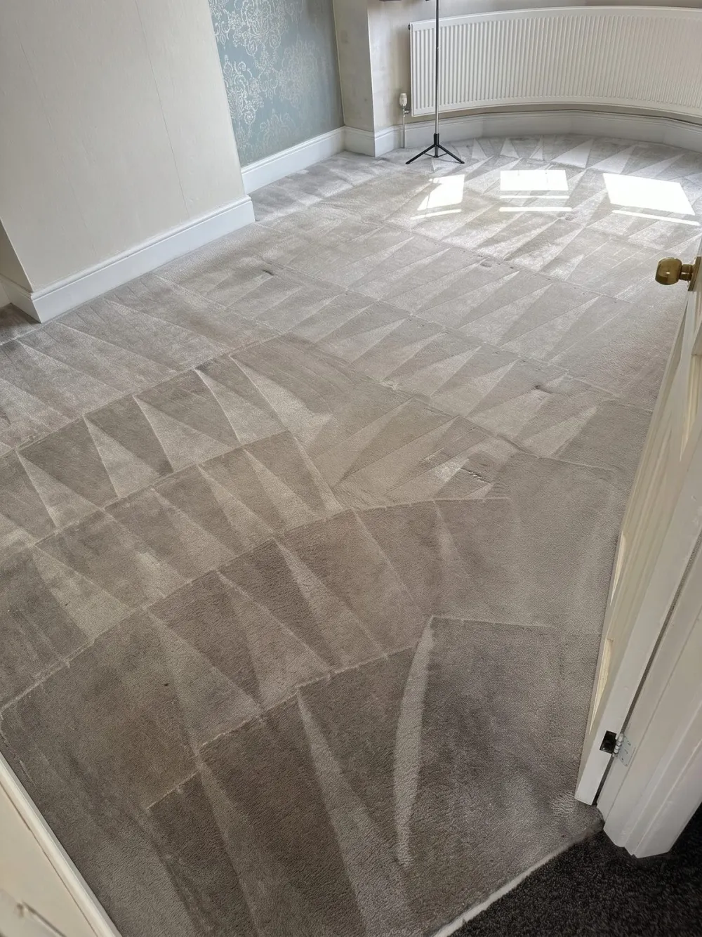 The same bedroom carpet after professional hot water extraction cleaning