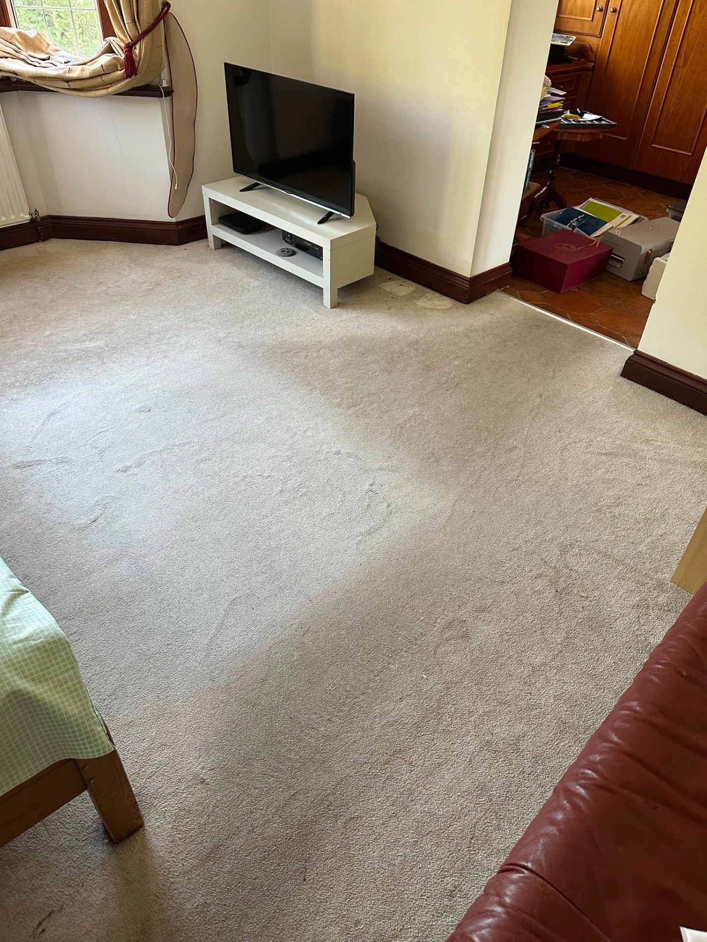 Living room carpet refreshed — before